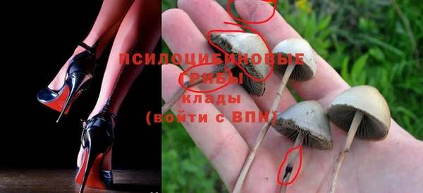 тгк Алексин