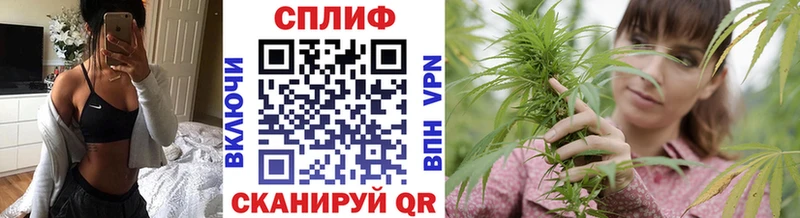 как найти наркотики Бодайбо Бошки Шишки марихуана